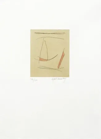 Gravura Ràfols Casamada - Signe i colors