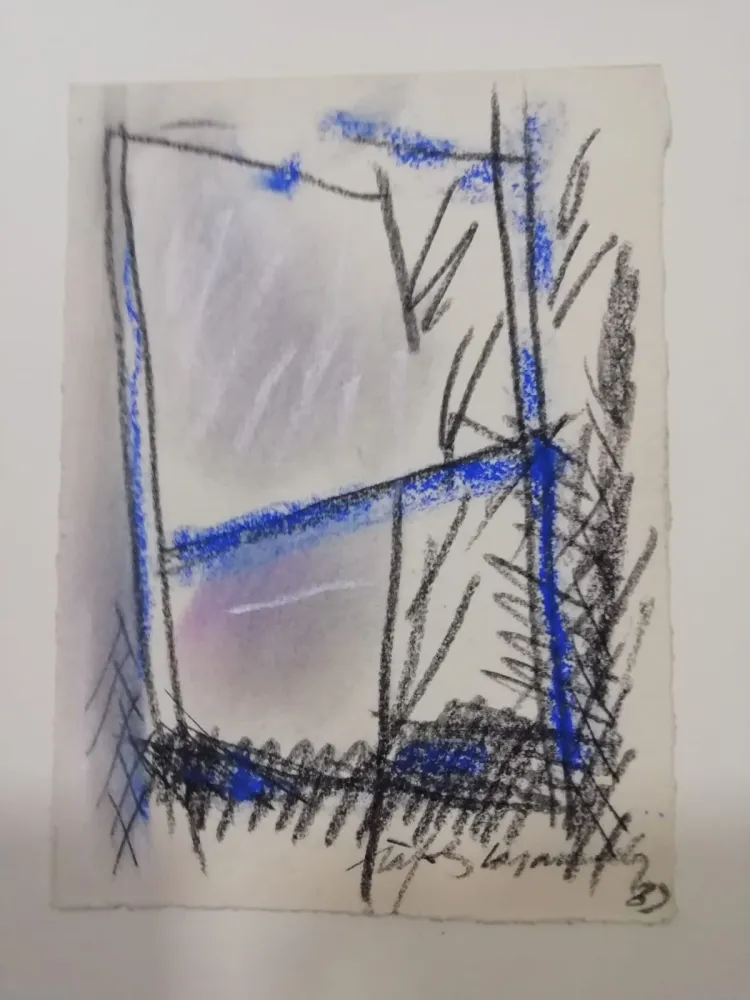 Sem Técnica Ràfols Casamada - S/T