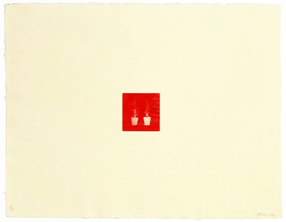 Gravura Ramírez Suass - S'enraciner