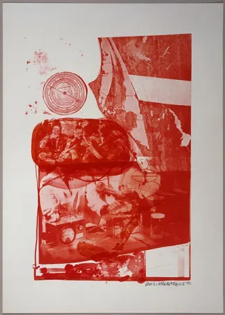 Sem Técnica Rauschenberg - Ape, from Stoned Moon