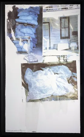 Serigrafia Rauschenberg - Daydream (Speculations)