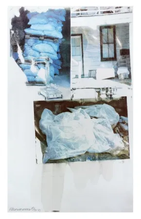 Serigrafia Rauschenberg - Daydream (Speculations)