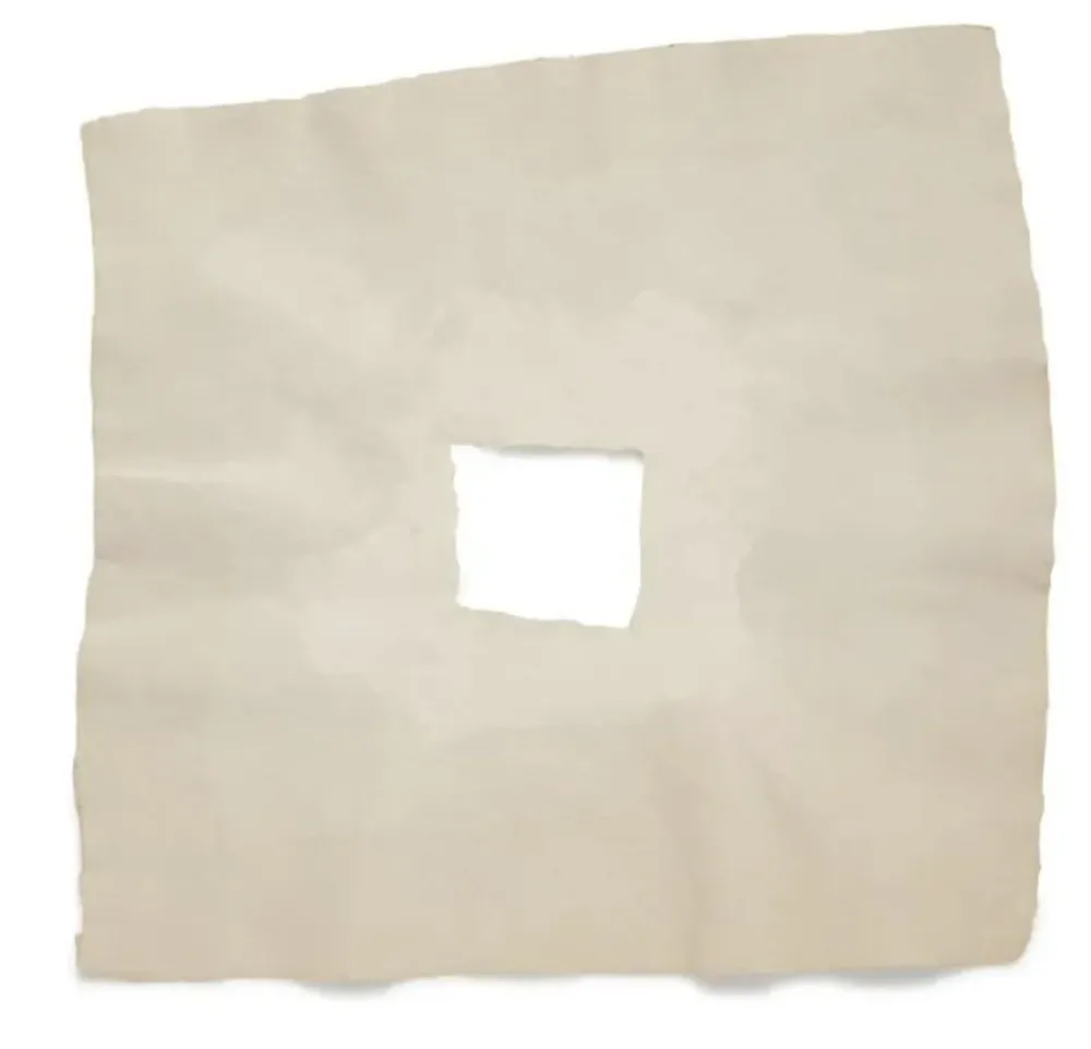 Múltiplo Rauschenberg - Page III