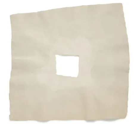 Múltiplo Rauschenberg - Page III