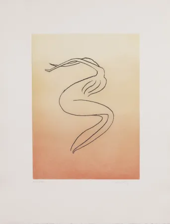 Água-Tinta Ray - Man Ray (1890–1976) - Anatoms without Rime or Reason for Every Season - Aquatint and soft ground on paper - 1970