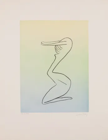 Água-Tinta Ray - Man Ray (1890–1976) - Anatoms without Rime or Reason for Every Season - Aquatint and soft ground on paper - 1970