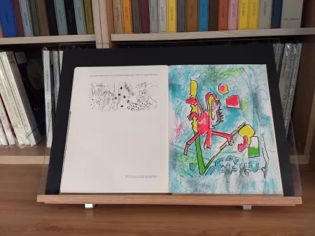 Livro Ilustrado Ray - No 45