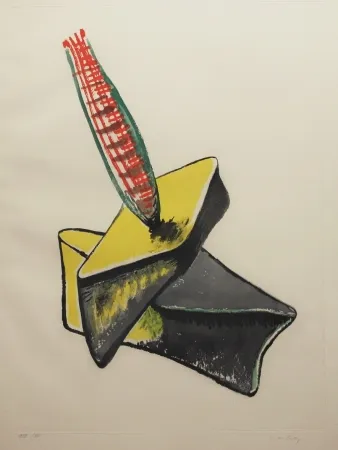 Água-Forte E Água-Tinta Ray - Transfiguration d'un cactus