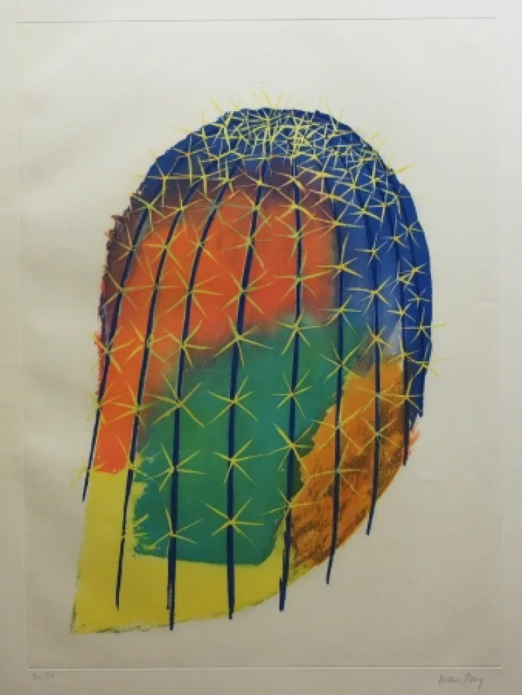 Água-Forte E Água-Tinta Ray - Transfiguration d'un cactus