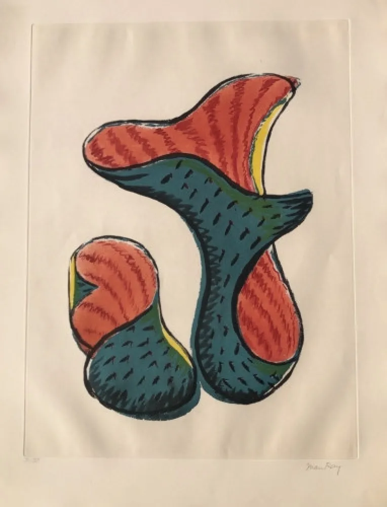 Água-Tinta Ray - Untitled (from Transfiguration d' un Cactus)