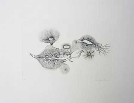 Gravura Reims - Sans titre