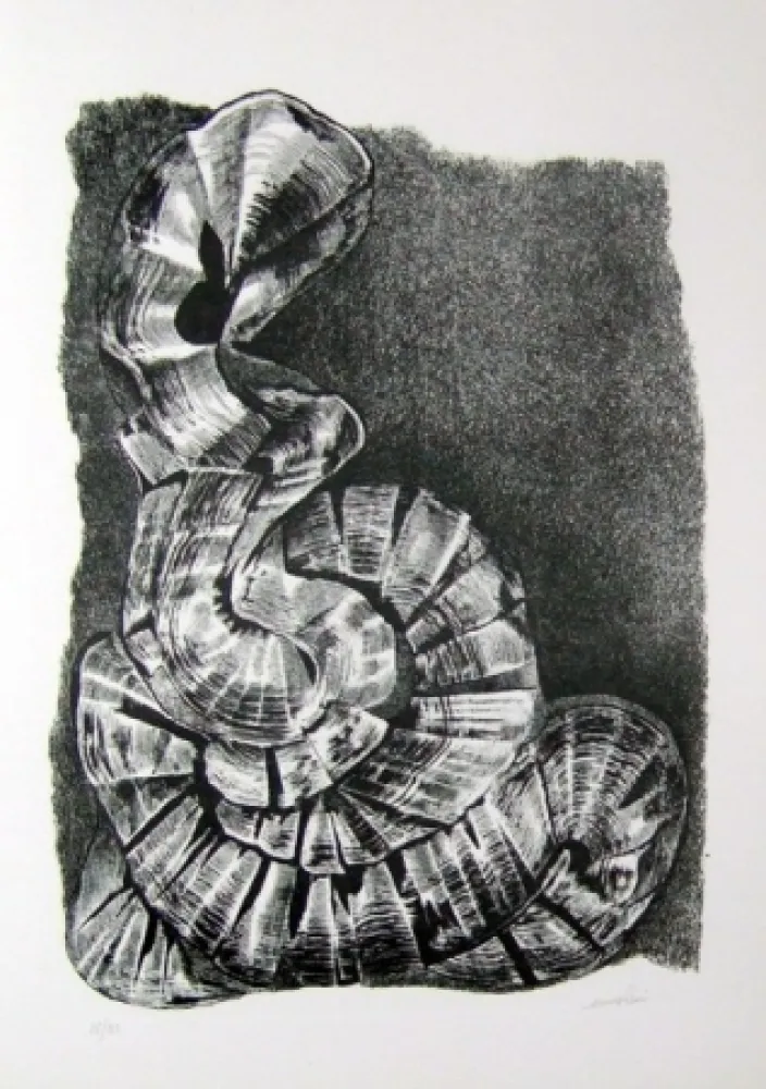 Livro Ilustrado Ricci - Lettera a un amico (e, indirettamente, a tutti gli altri)