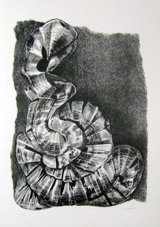 Livro Ilustrado Ricci - Lettera a un amico (e, indirettamente, a tutti gli altri)