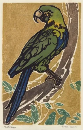 Xilogravura Rice - Green Parrot
