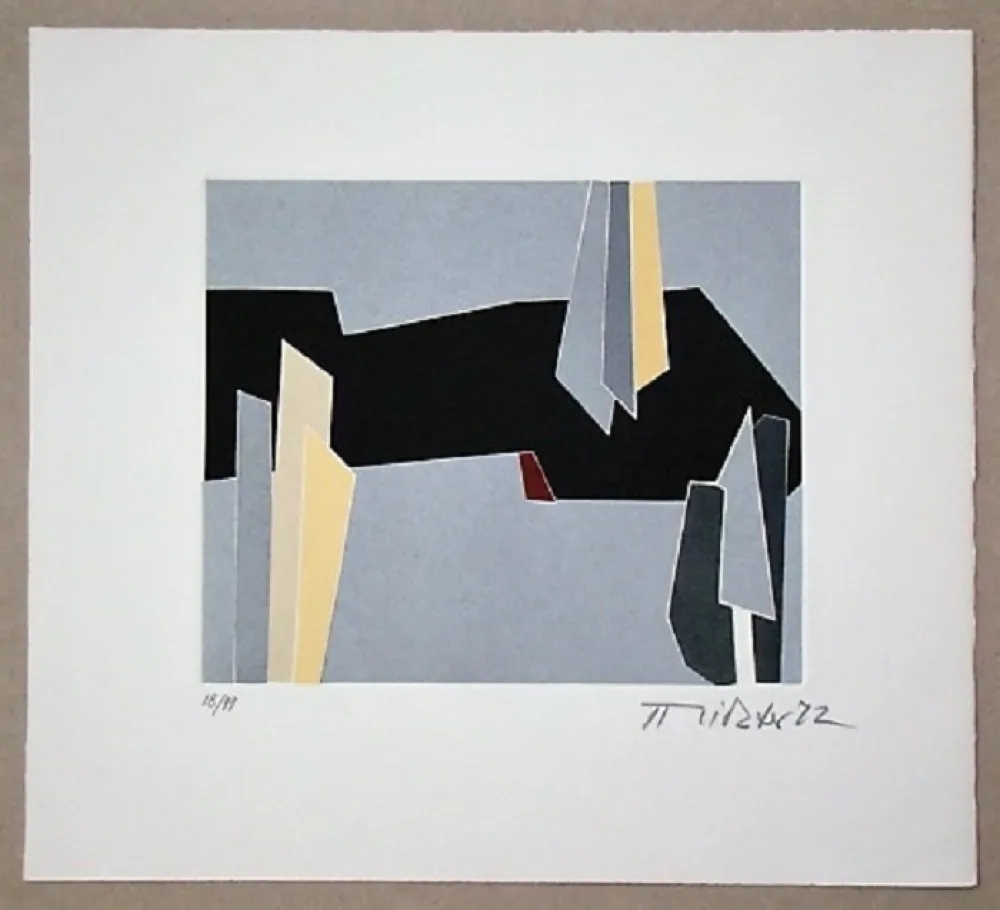 Relevo Richter - Composition - 1972