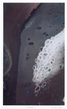 Fotografia Richter - Yreo