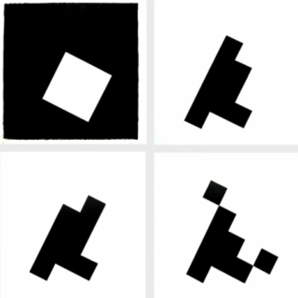 Livro Ilustrado Ridell - Mesure du signe