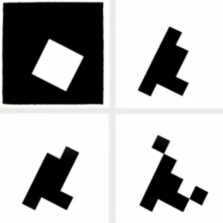 Livro Ilustrado Ridell - Mesure du signe