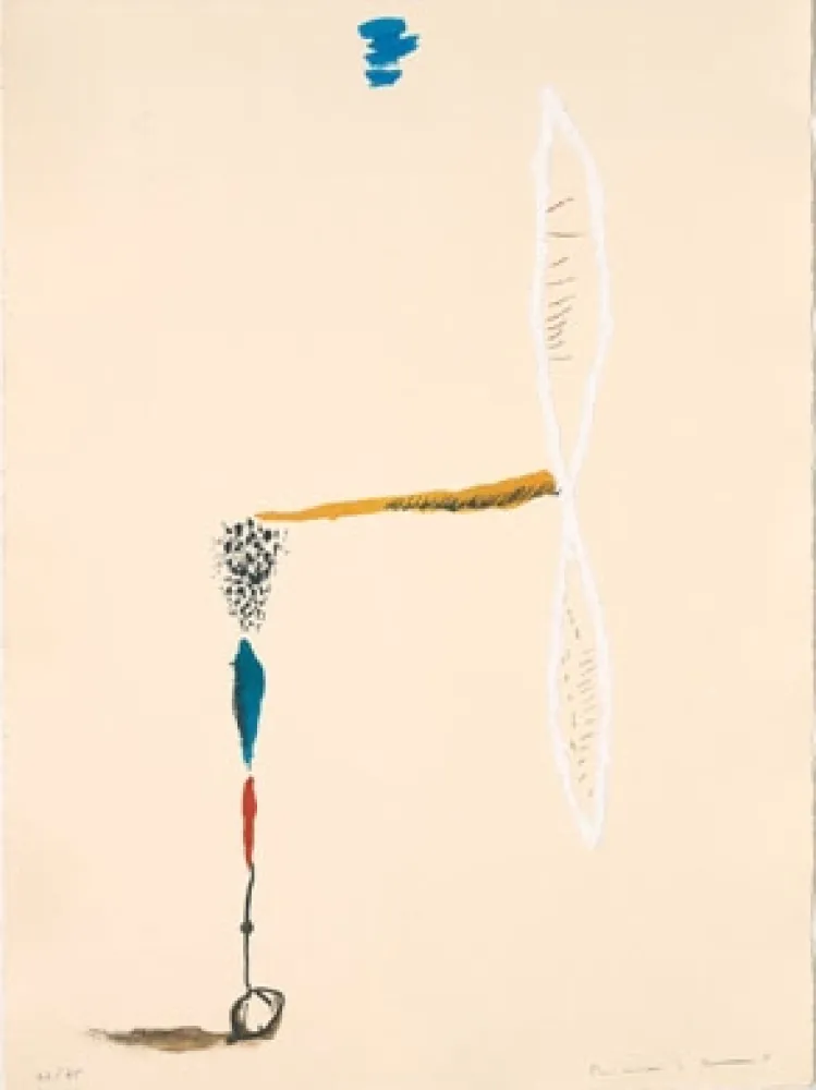 Litografia Riera I Aragó - Avió hèlix blanc 