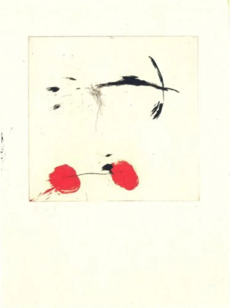 Gravura Riera I Aragó - Avió petit rodes vermelles