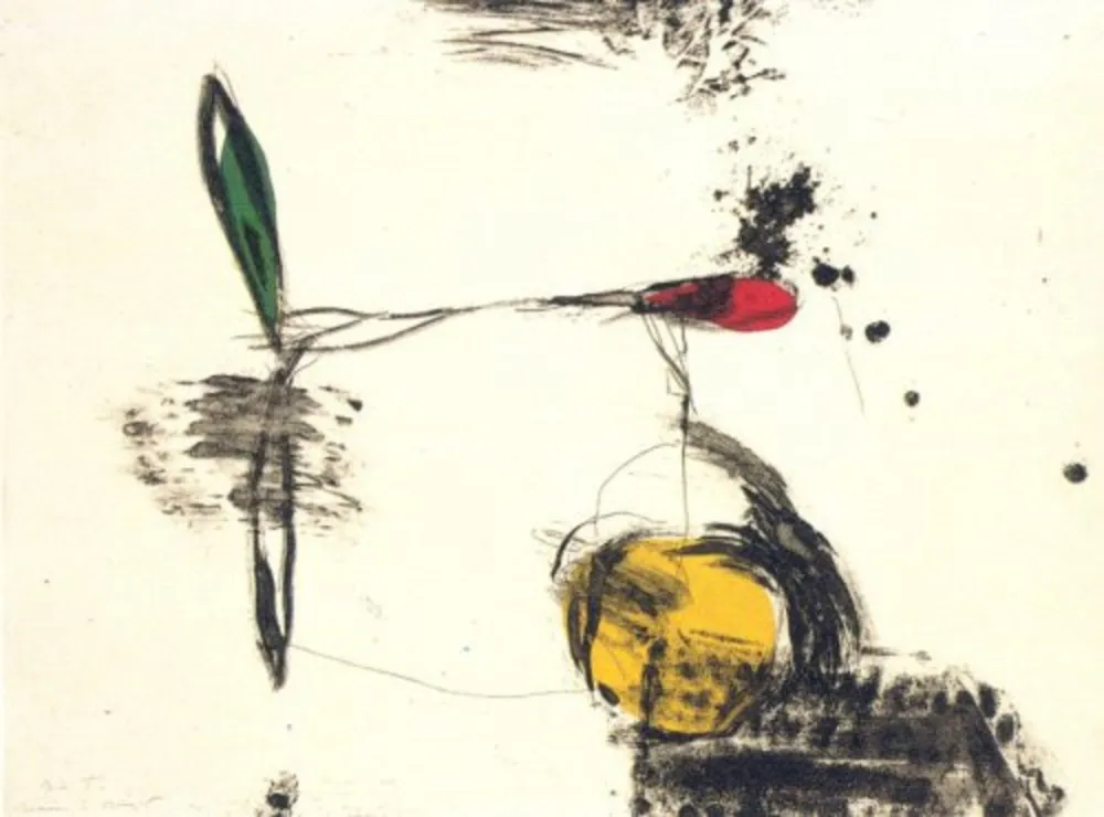 Gravura Riera I Aragó - Avió roda groga