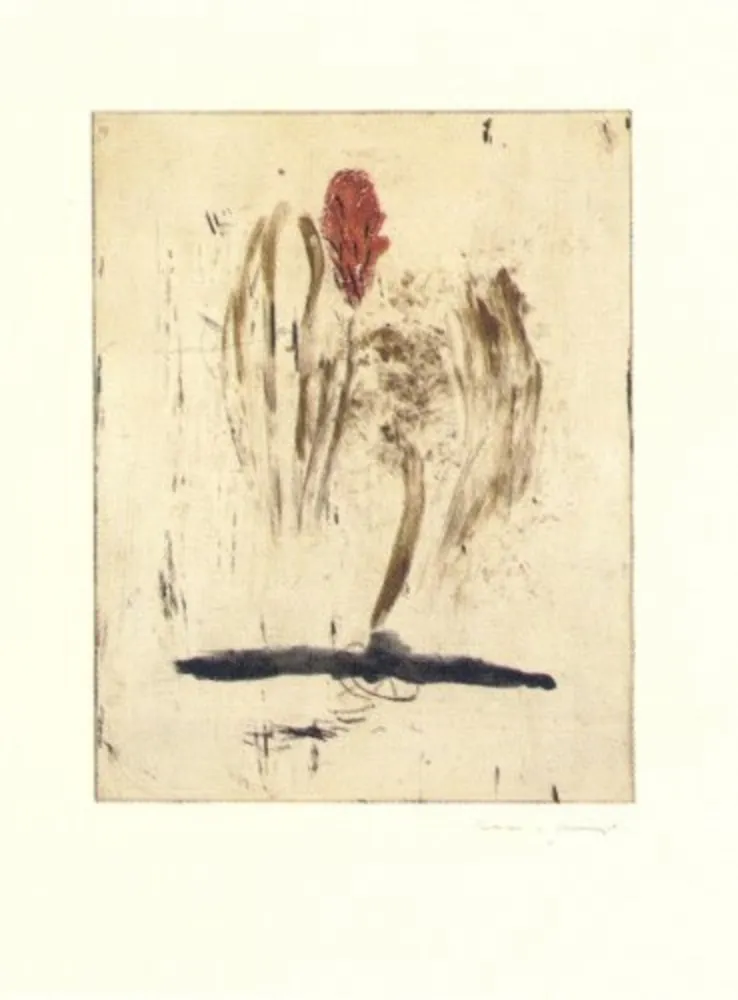 Gravura Riera I Aragó - Submarí i ala