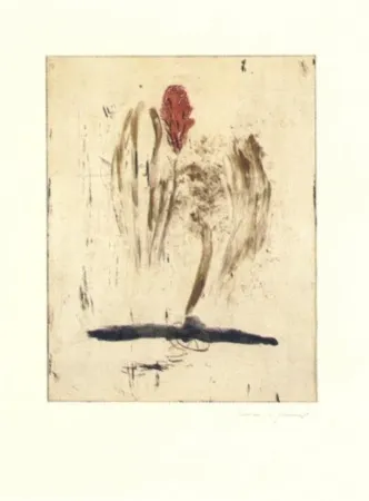 Gravura Riera I Aragó - Submarí i ala