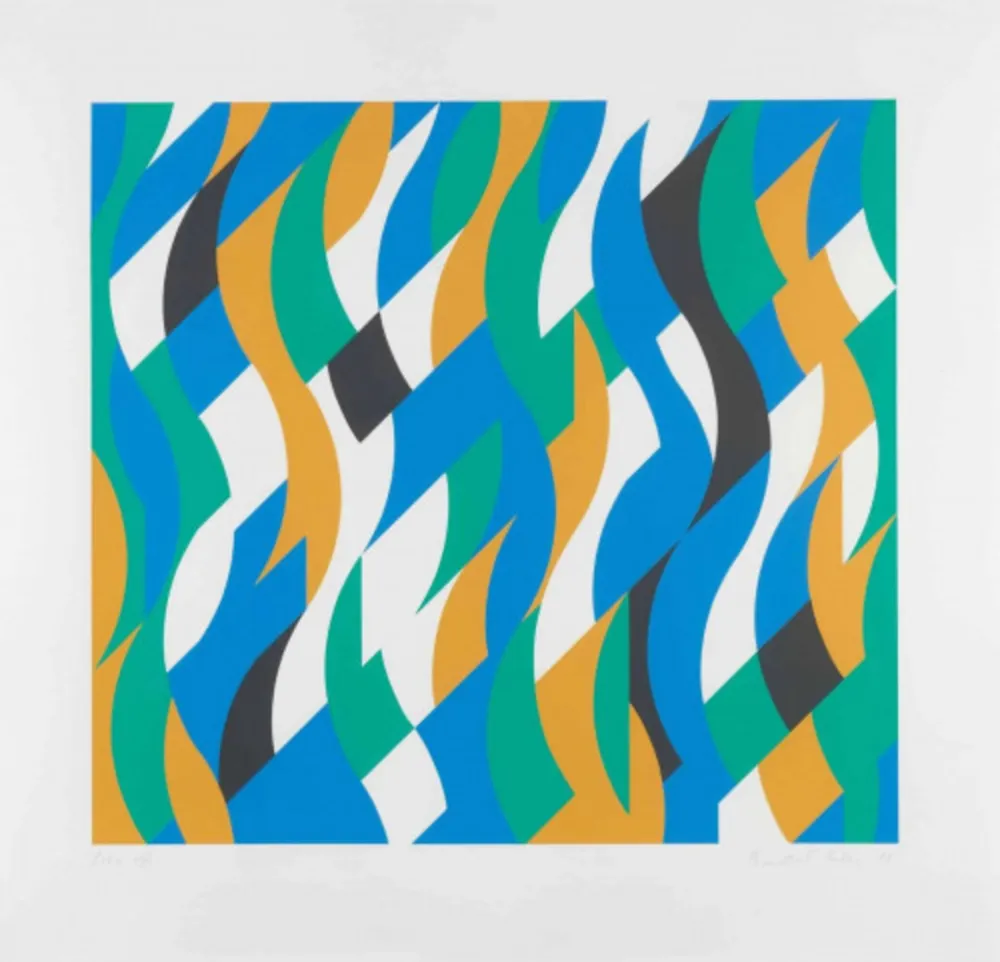 Serigrafia Riley - Echo