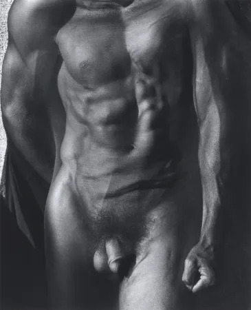 Fotografia Ritts - Male Torso with Veil (Tight), Silverlake