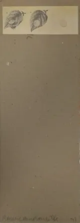 Múltiplo Robert - Shirtboards Morocco, Italy