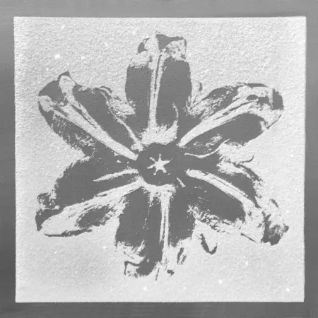 Serigrafia Robierb - Power Flower (Silver)