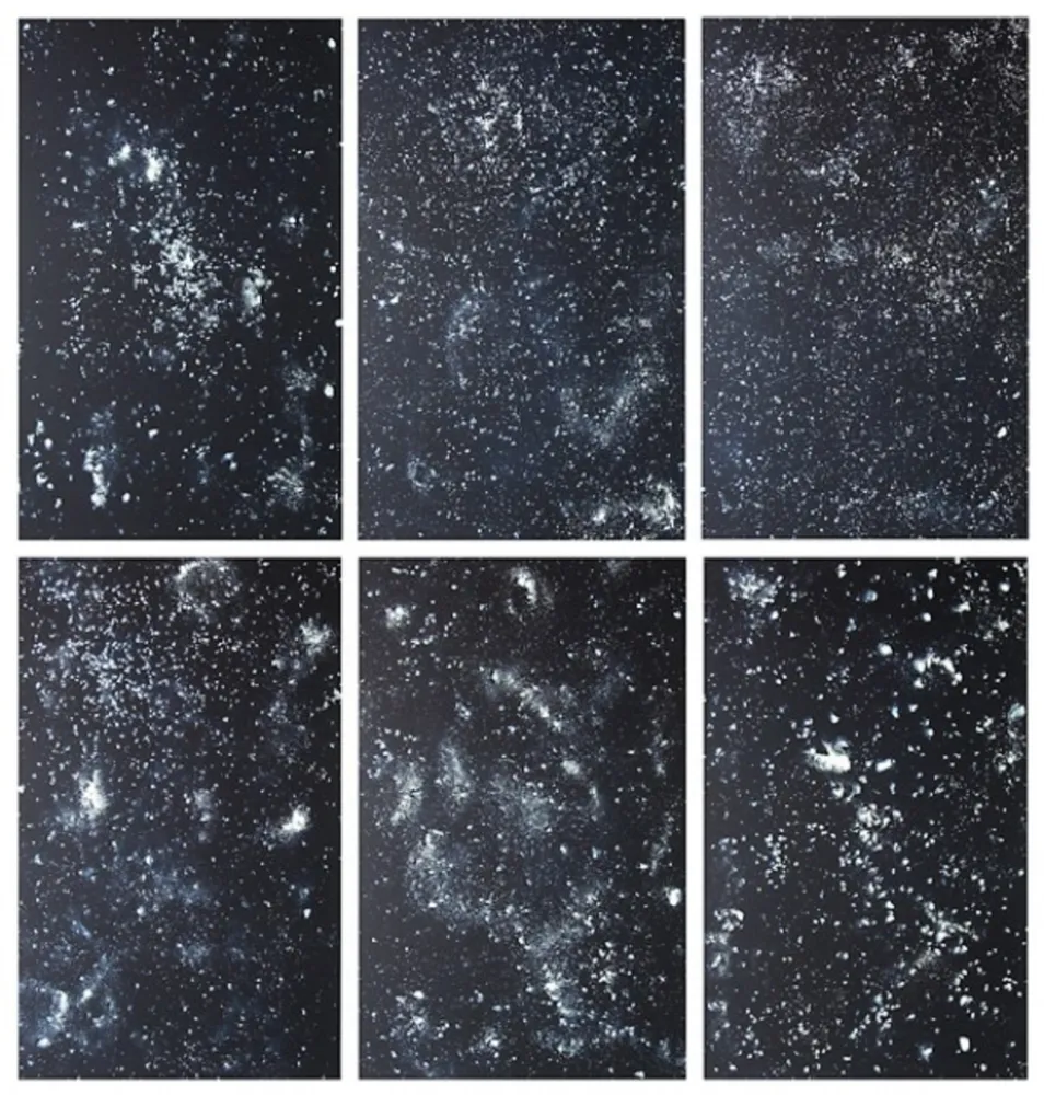 Litografia Rondinone - Stars, portfolio