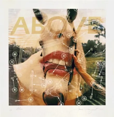 Litografia Rosenquist - Above