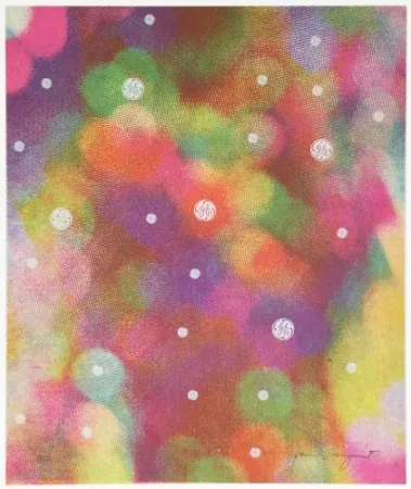 Serigrafia Rosenquist - Circles of Confusion