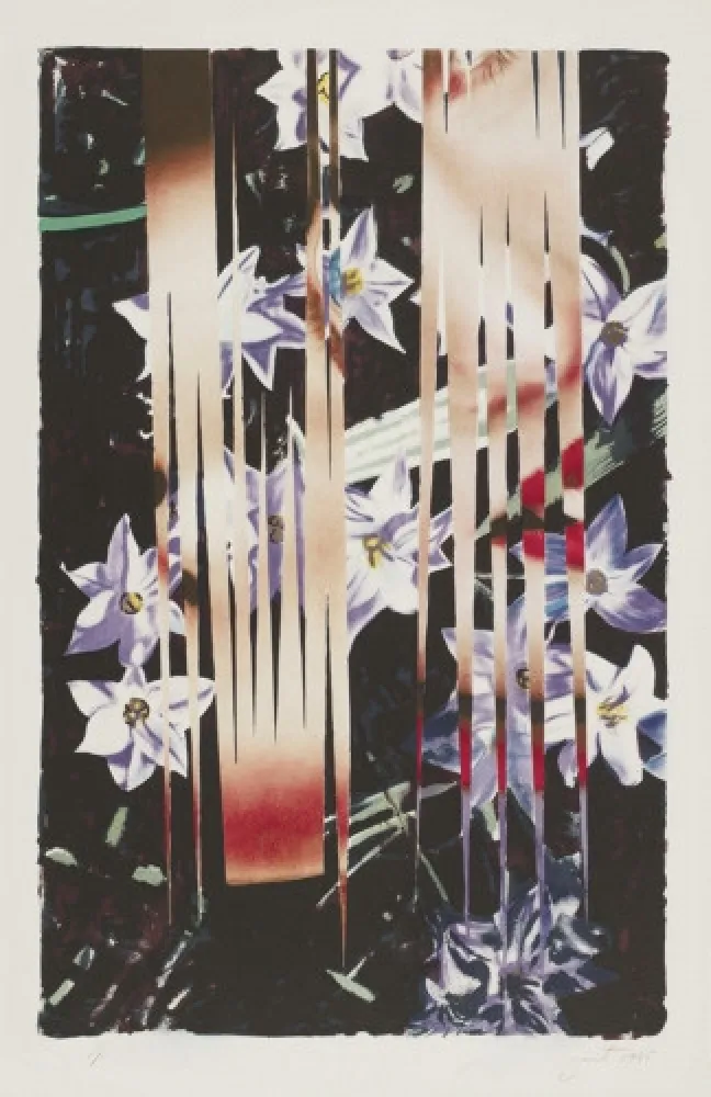 Litografia Rosenquist - Night Transitions