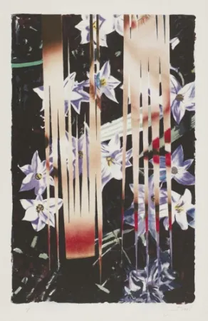 Litografia Rosenquist - Night Transitions