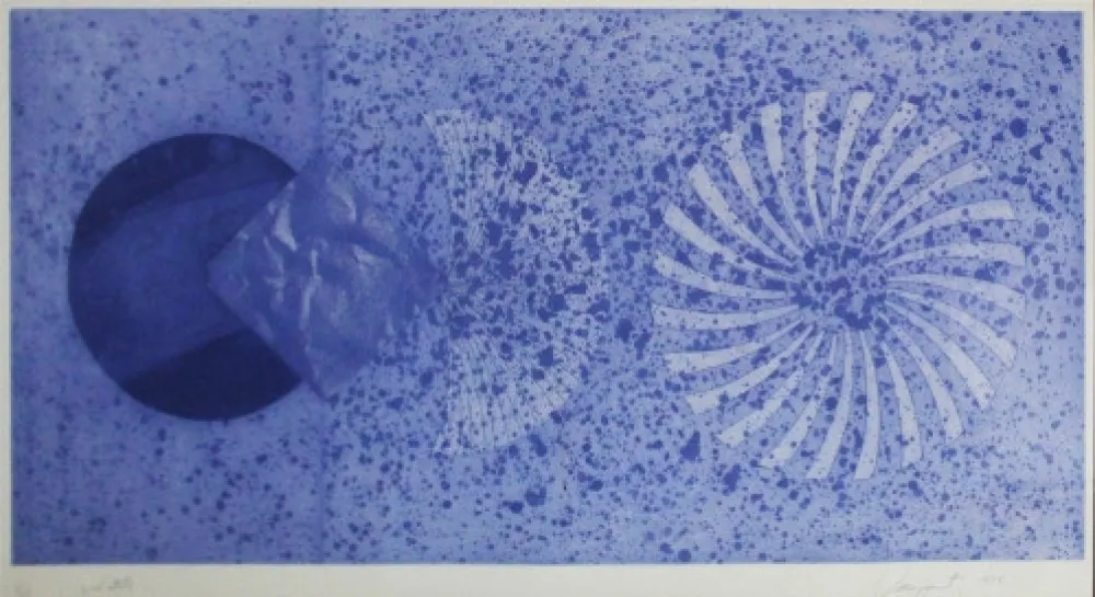 Água-Forte E Água-Tinta Rosenquist - The Book Disappears for the Fast Student 2nd State