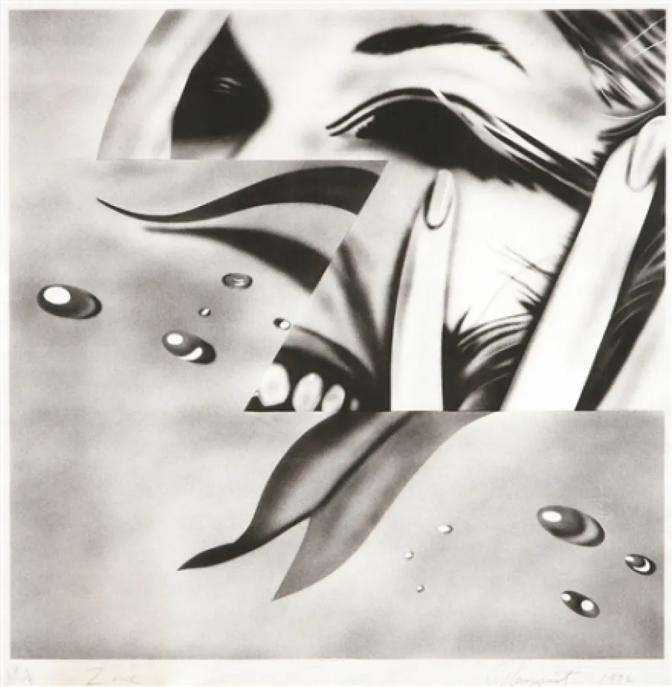 Litografia Rosenquist - Zone