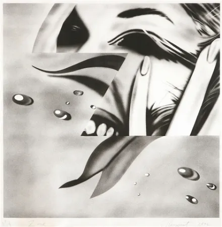 Litografia Rosenquist - Zone