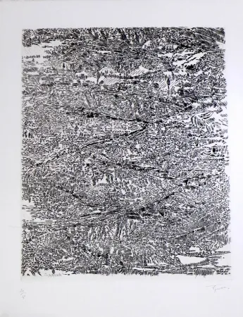 Água-Forte E Água-Tinta Rouan  - Arena