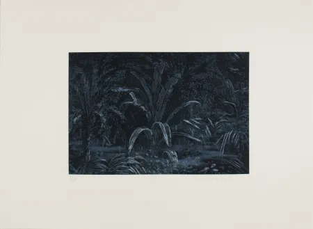 Água-Forte Roy-Camille - Le remplissage des blancs sur la carte