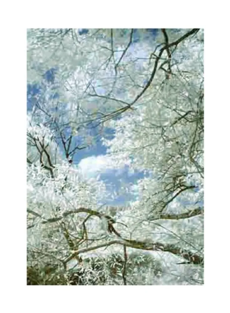 Fotografia Ruff - Jpeg_ti_01