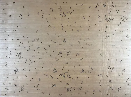 Serigrafia Ruscha - Black Ants from the Insects Portfolio