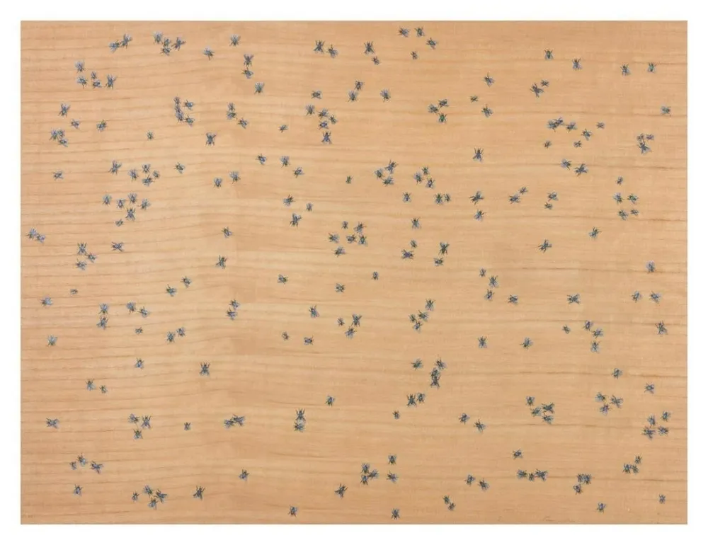 Múltiplo Ruscha - Flies