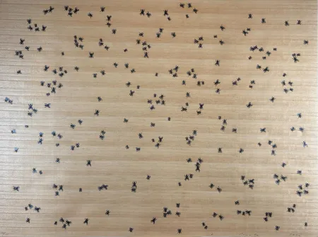 Serigrafia Ruscha - Flies from the Insects Portfolio
