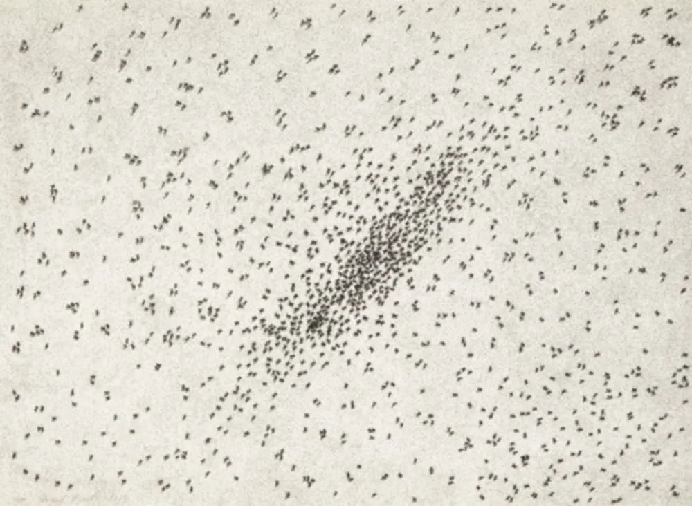 Múltiplo Ruscha - Insect Slant (Ants) (from Reality & Paradoxes)