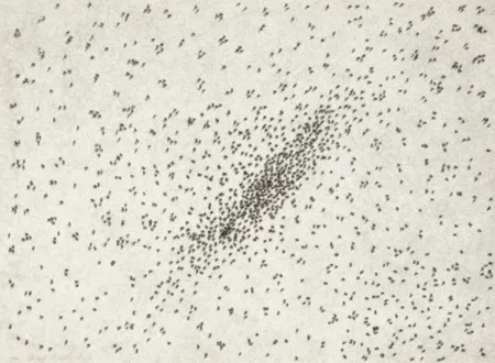 Múltiplo Ruscha - Insect Slant (Ants) (from Reality & Paradoxes)