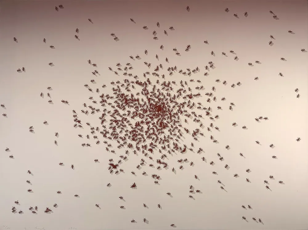 Serigrafia Ruscha - Swarm of Red Ants from the Insects Portfolio