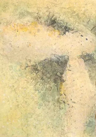 Gravura Salinas - Dalet I