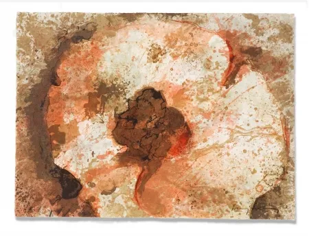 Gravura Salinas - Hongo